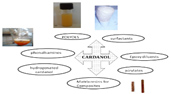 Cashew Nut Shell Liquid (CNSL) and Derivatives