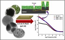 Azadirachta indica (Neem) self-healing efficacy assessment in epoxy primer coatings: A bio-responsive strategy for counteracting corrosion