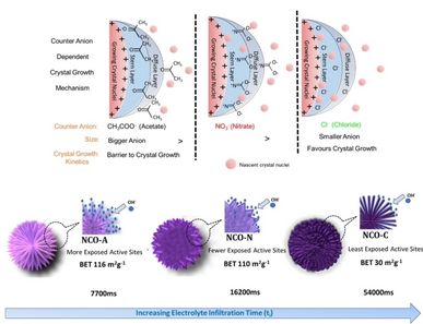 Modulating the Morphological Features of Hydrothermally Derived Nickel Cobaltite for Supercapacitor Application: Role of Precursor Anions