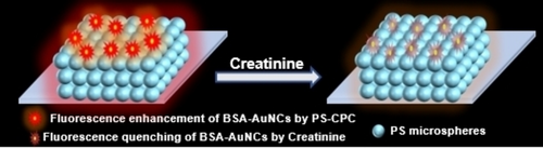 Colloidal Photonic Crystal-Enhanced Fluorescence of Gold Nanoclusters: A Highly Sensitive Solid-state Fluorescent Probe for Creatinine