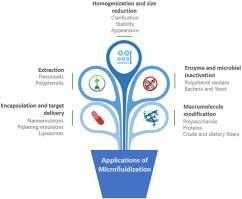 Emerging applications of microfluidization in the food industry