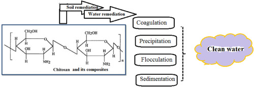 Chitosan a versatile adsorbent in environmental remediation in the era of circular economy-a mini review