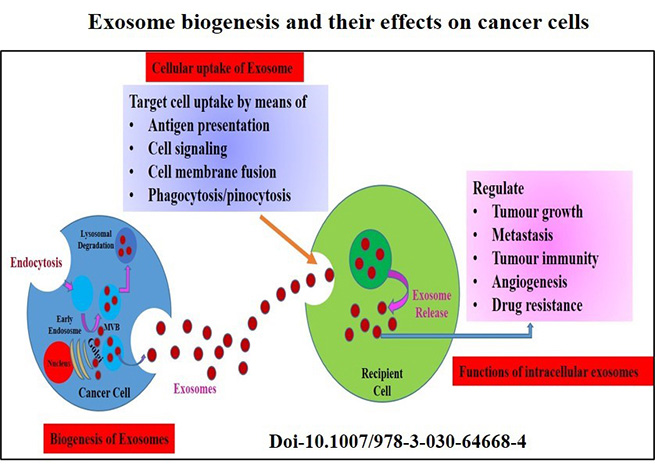 Cancer cells