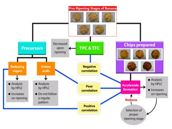 food safety