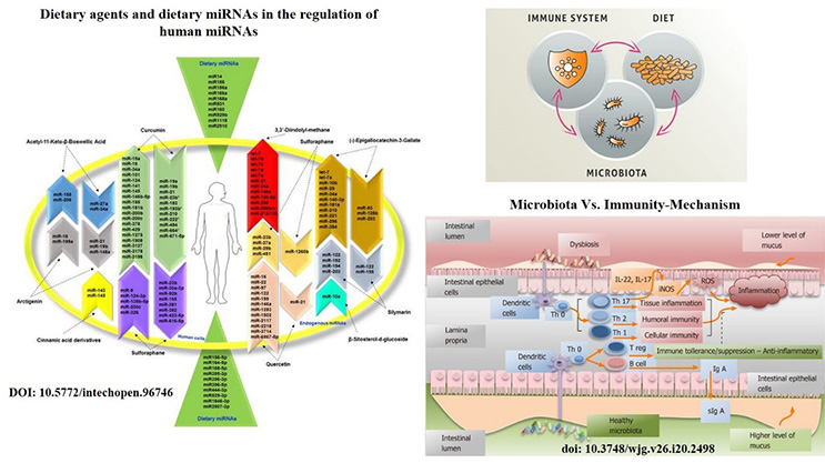 mRNA